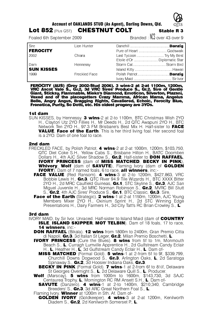 Morrish Polish - pedigree