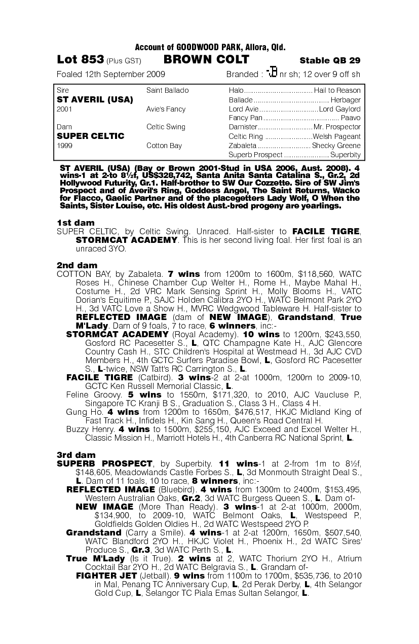 Holier Than Thou - pedigree