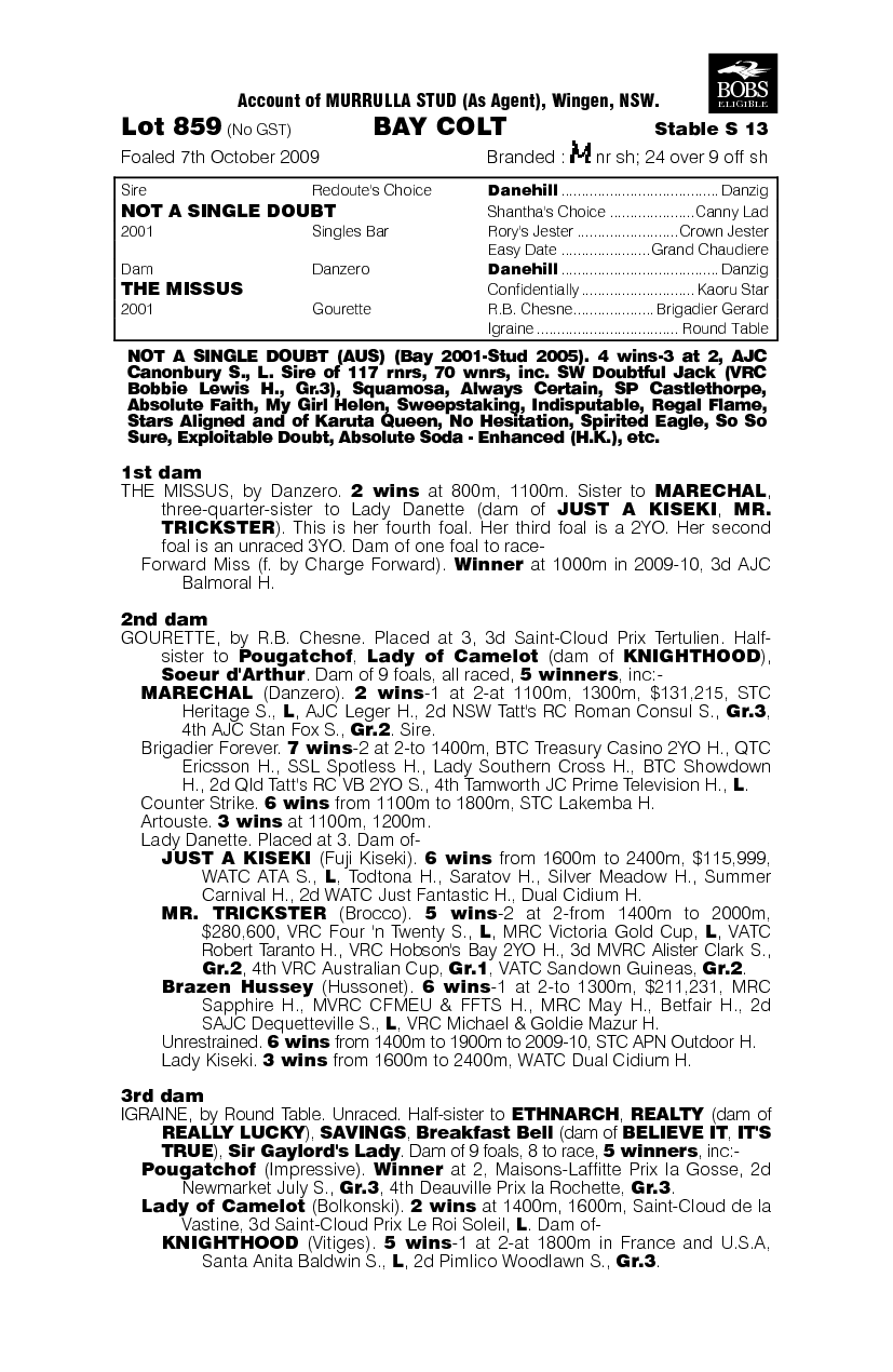 All My Angels - pedigree