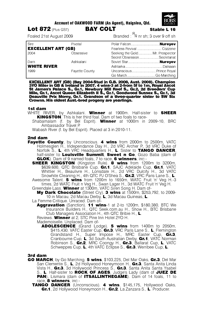 Dreammaker - pedigree