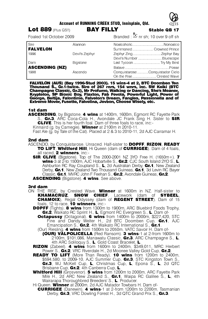 Miss Caitlyn - pedigree