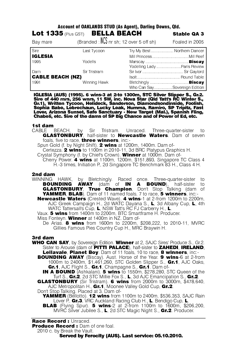 Bella Beach - pedigree