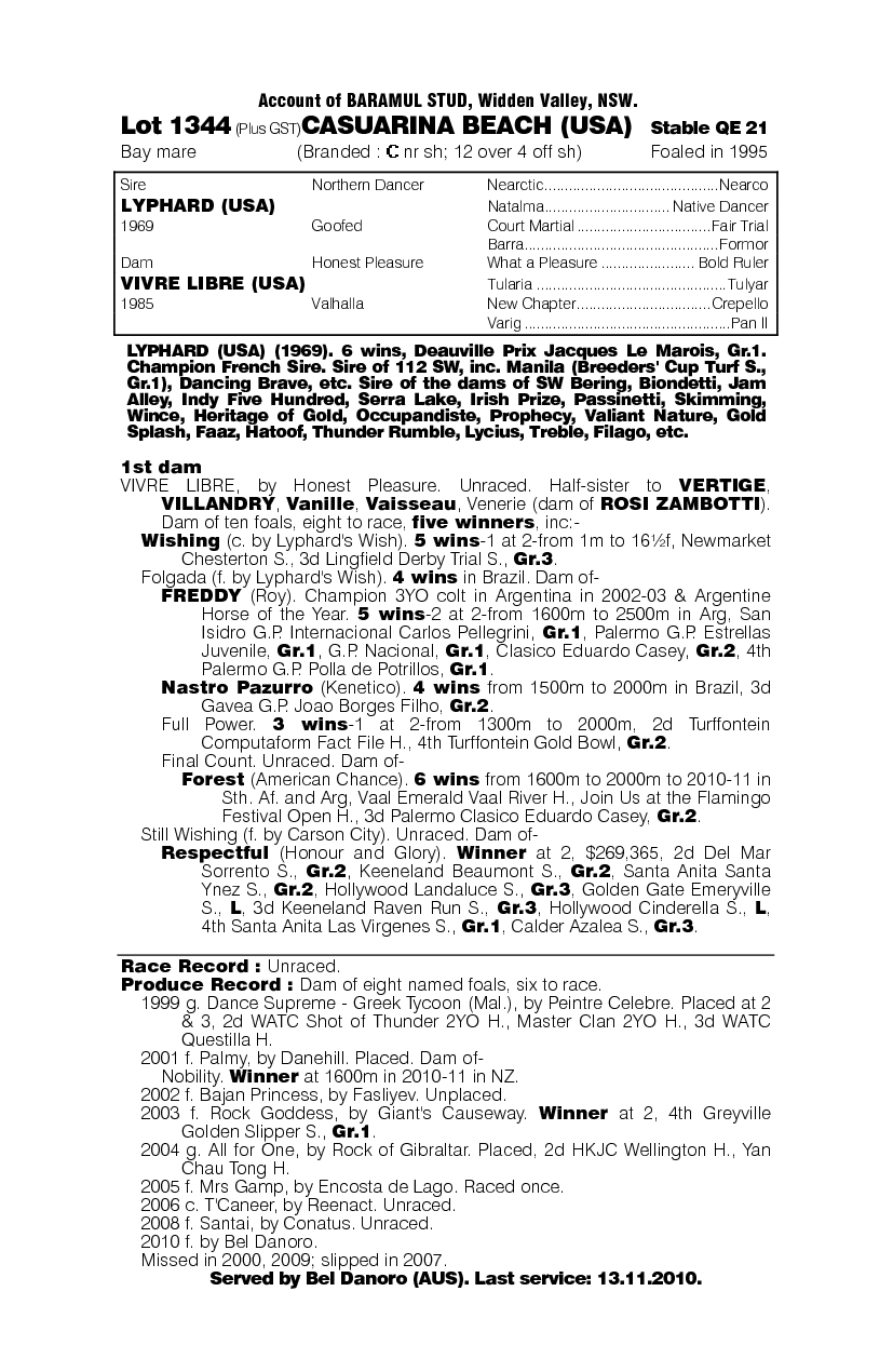 Casuarina Beach (USA) - pedigree