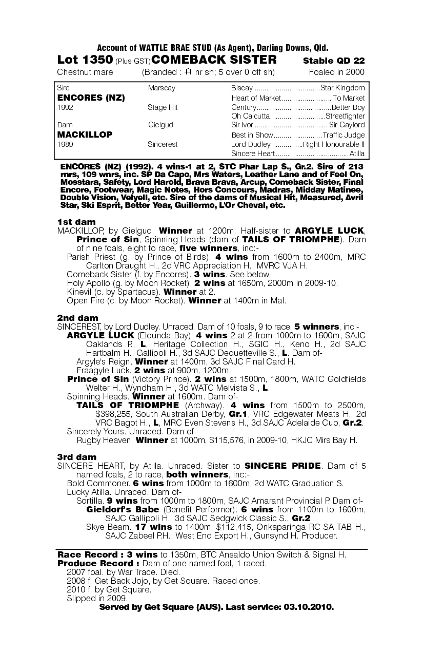 Comeback Sister - pedigree