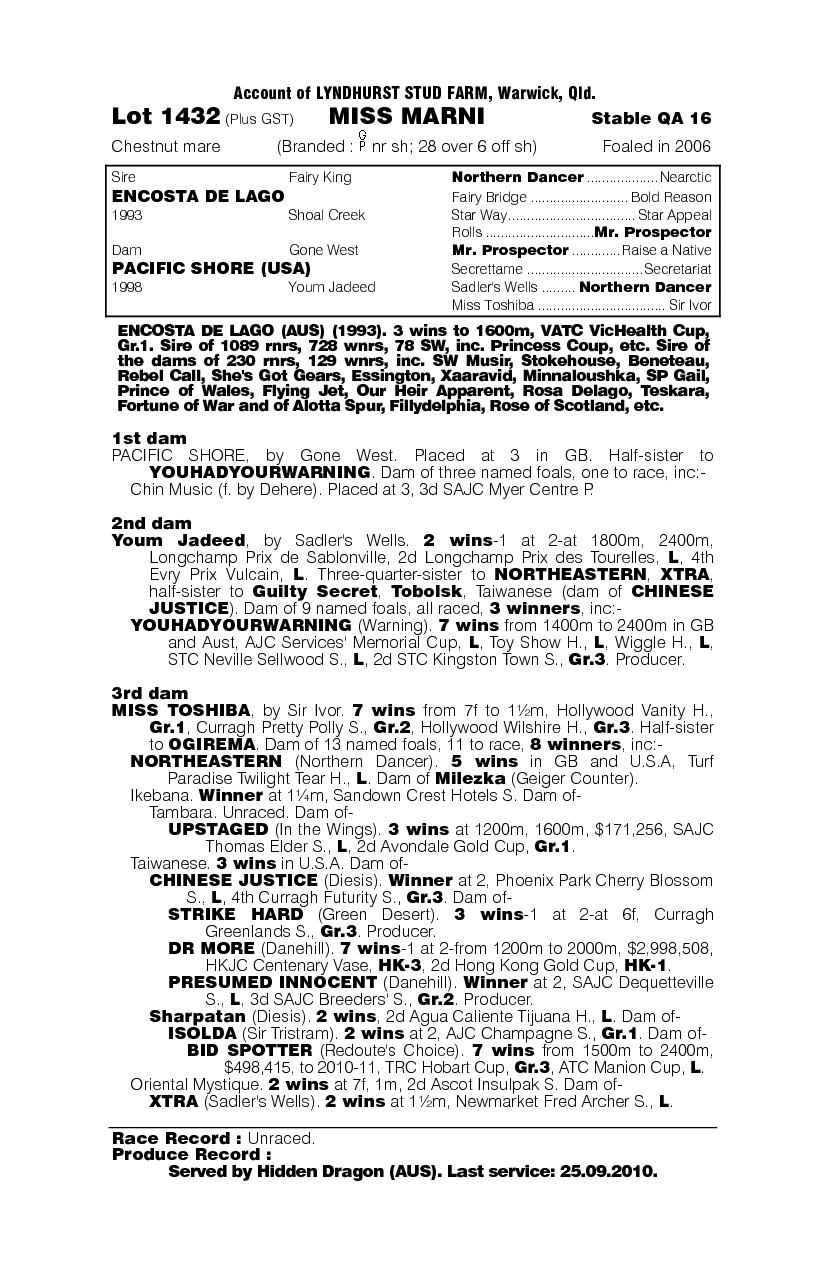 Miss Marni - pedigree