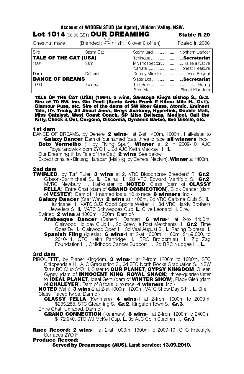 Our Dreaming - pedigree