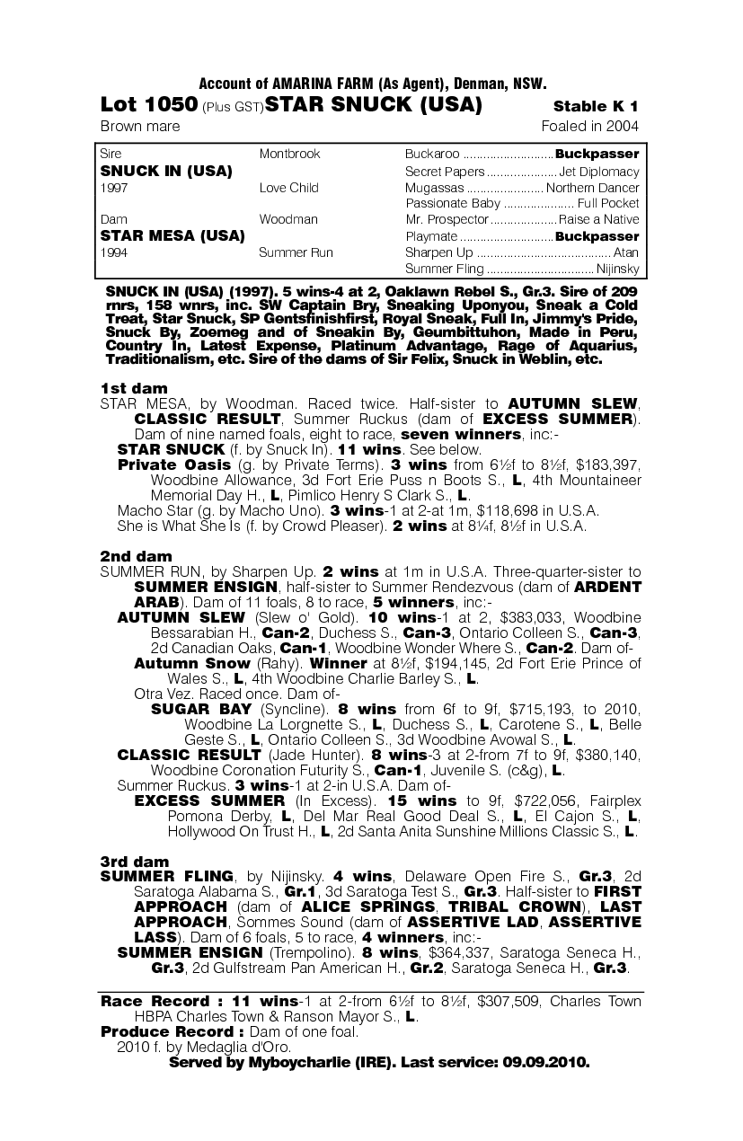 Star Snuck (USA) - pedigree