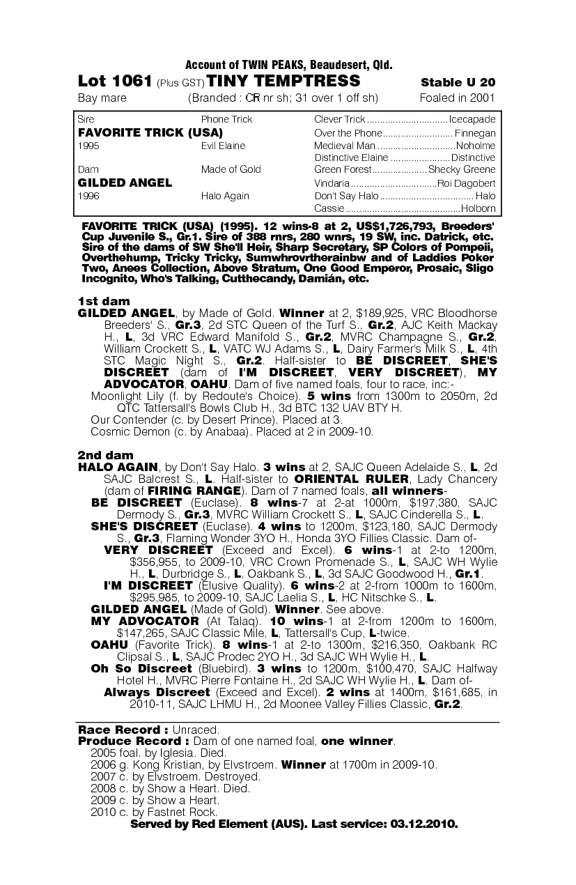 Tiny Temptress - pedigree