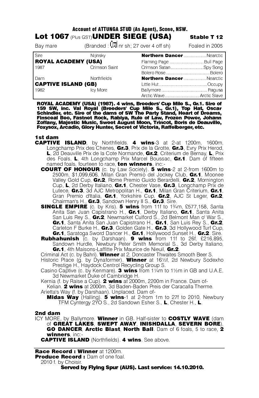 Under Siege (USA) - pedigree