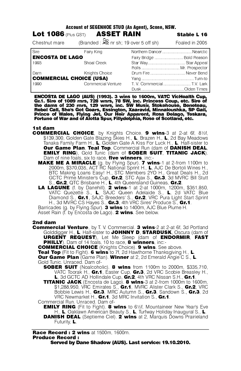 Asset Rain - pedigree