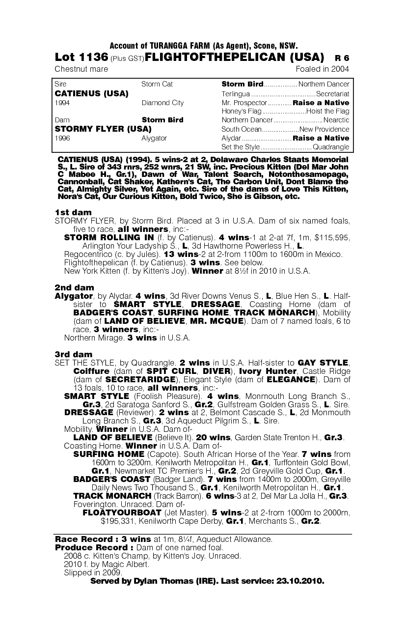 Flightofthepelican (USA) - pedigree