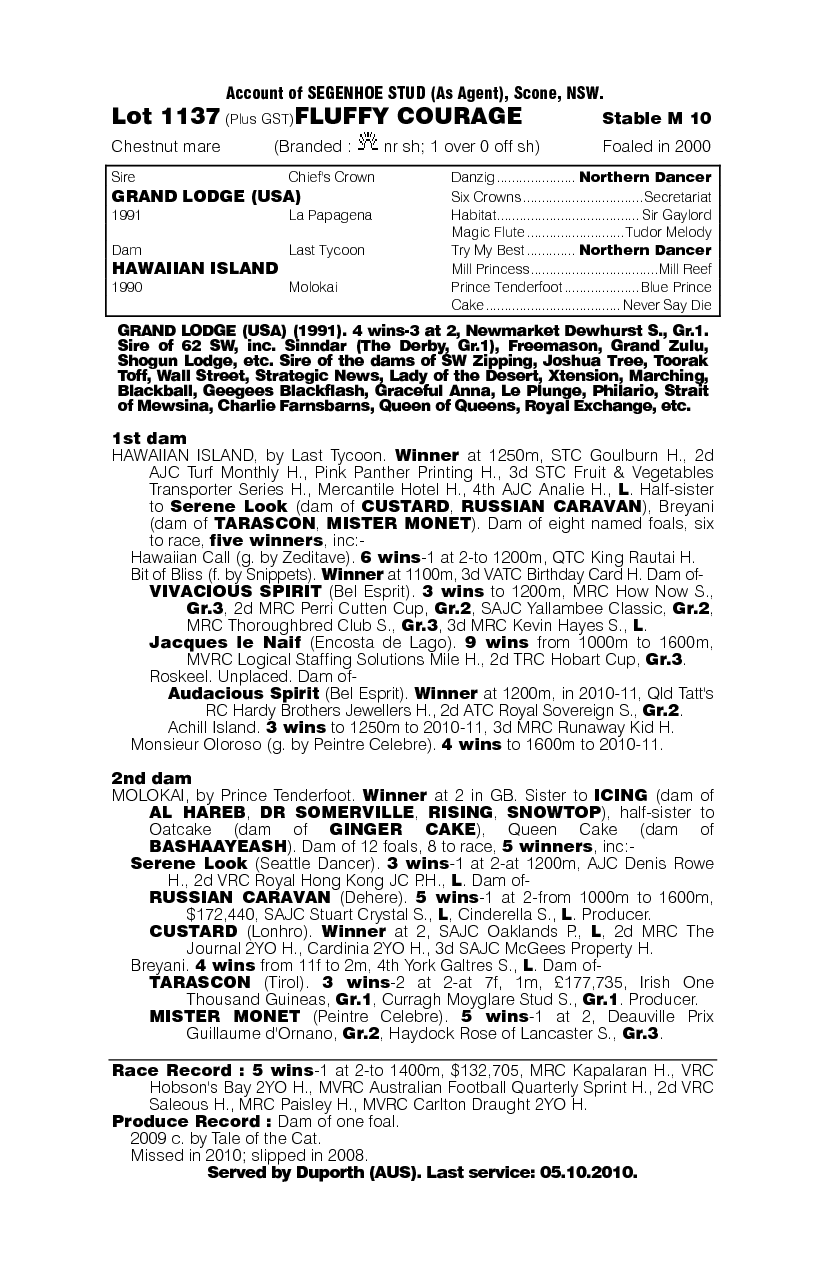 Fluffy Courage - pedigree