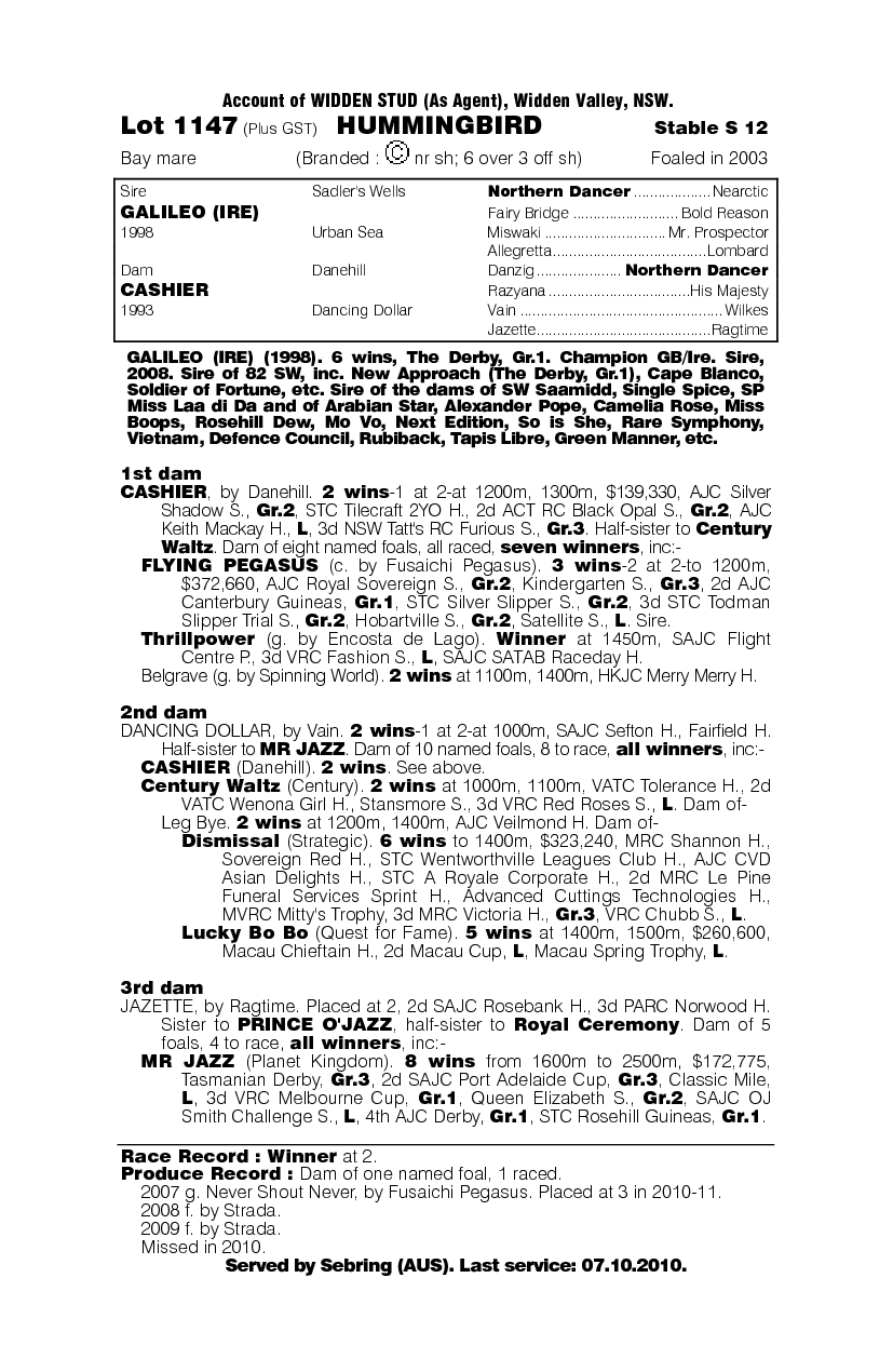 Hummingbird - pedigree