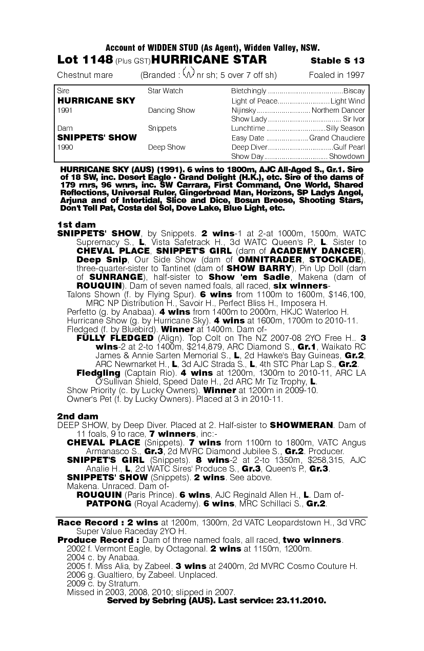 Hurricane Star - pedigree