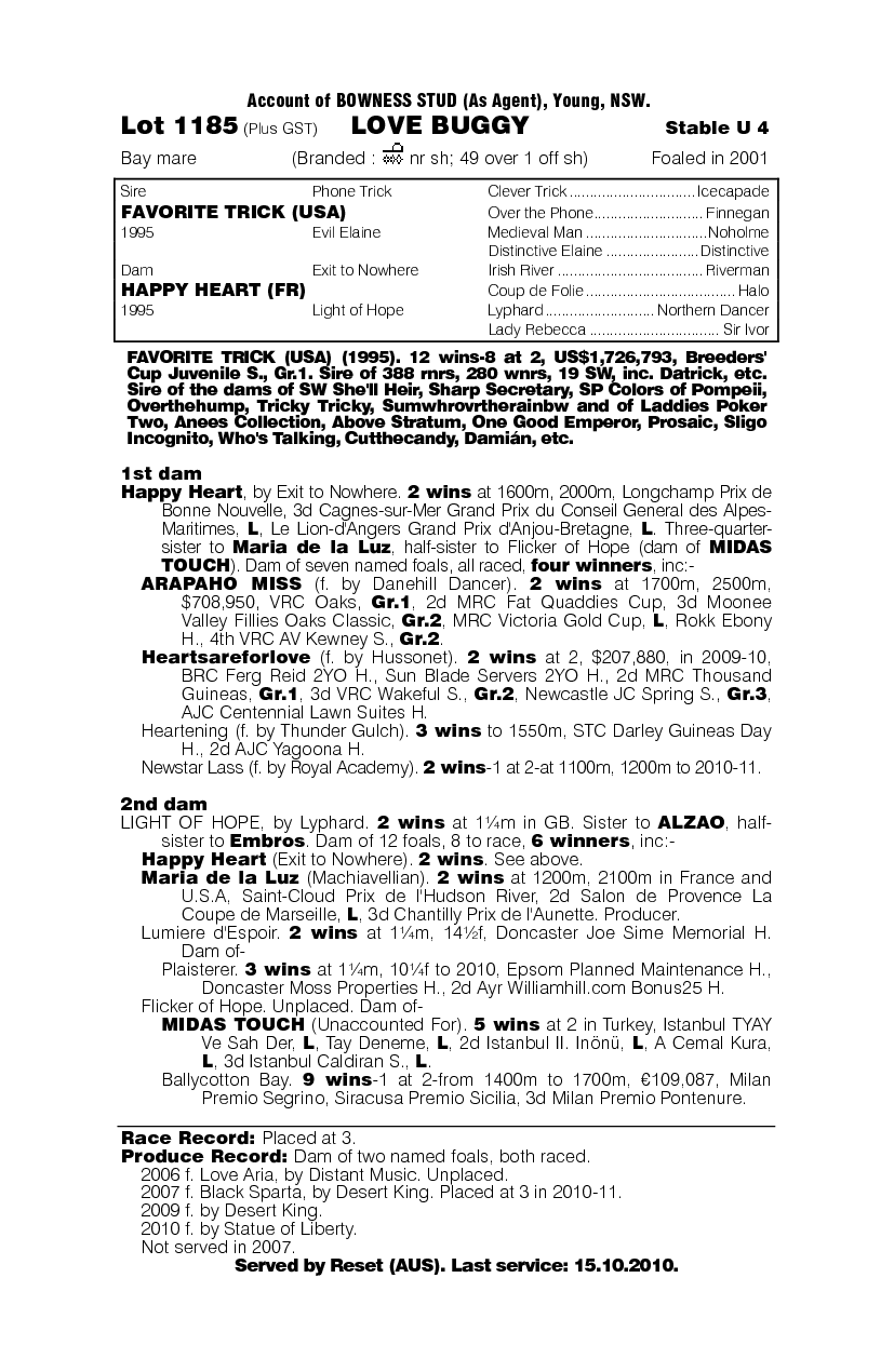 Love Buggy - pedigree