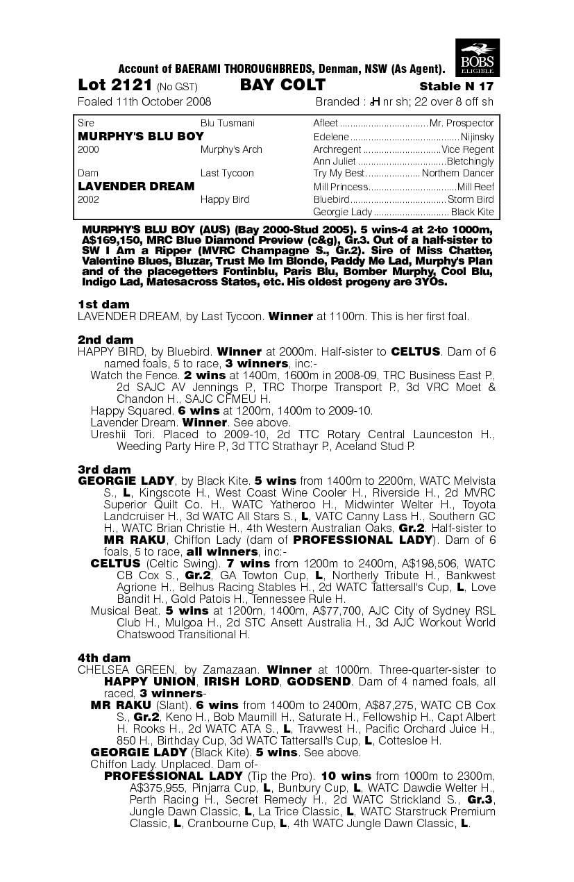 We Made A Blu - pedigree