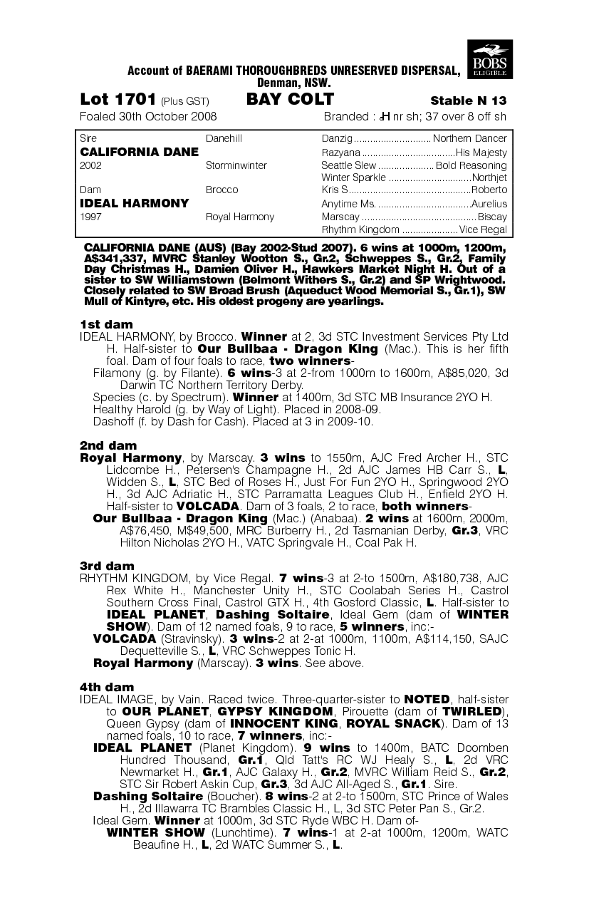 Best Bargain - pedigree