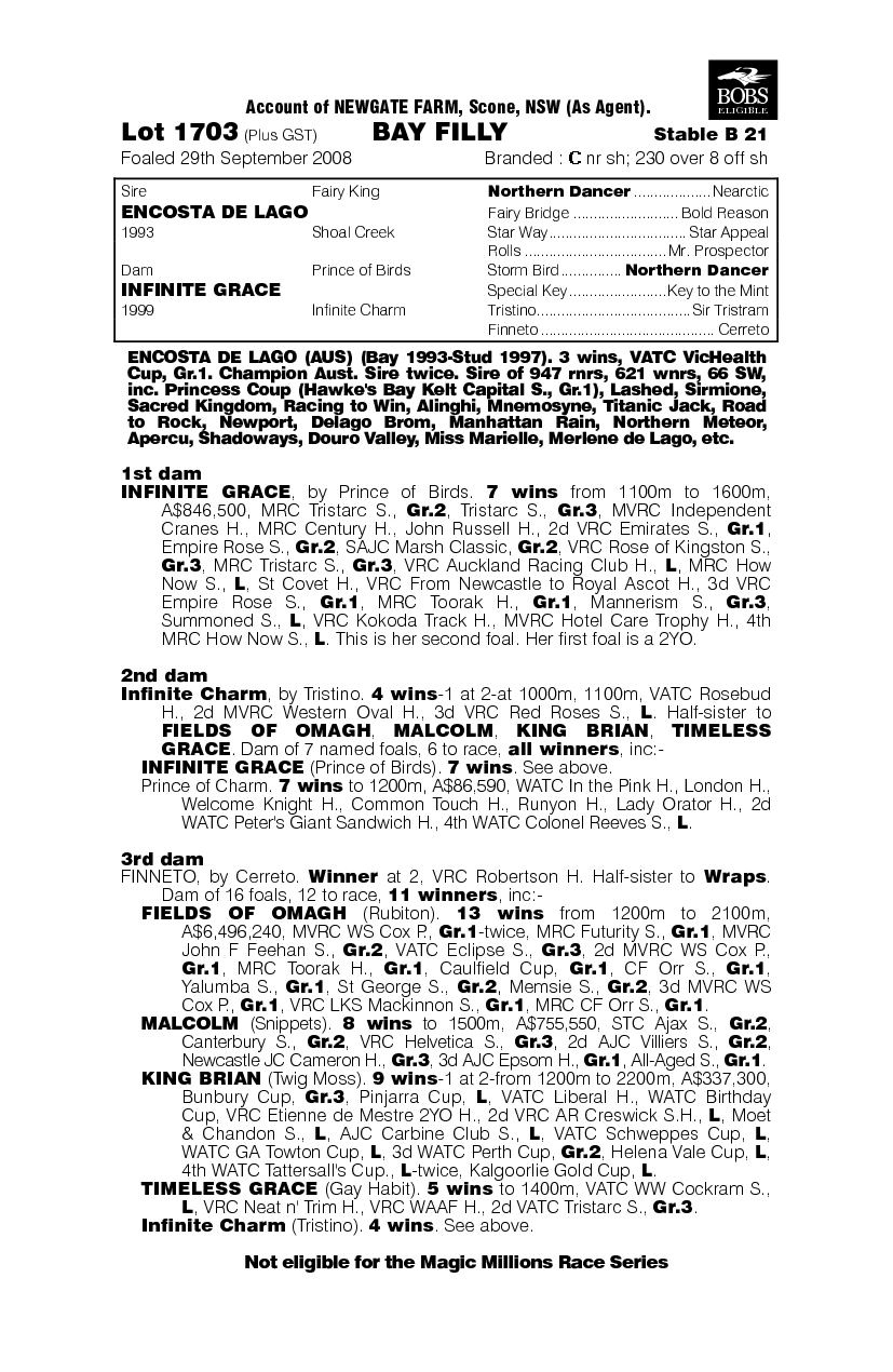 Infinito (AUS) - pedigree