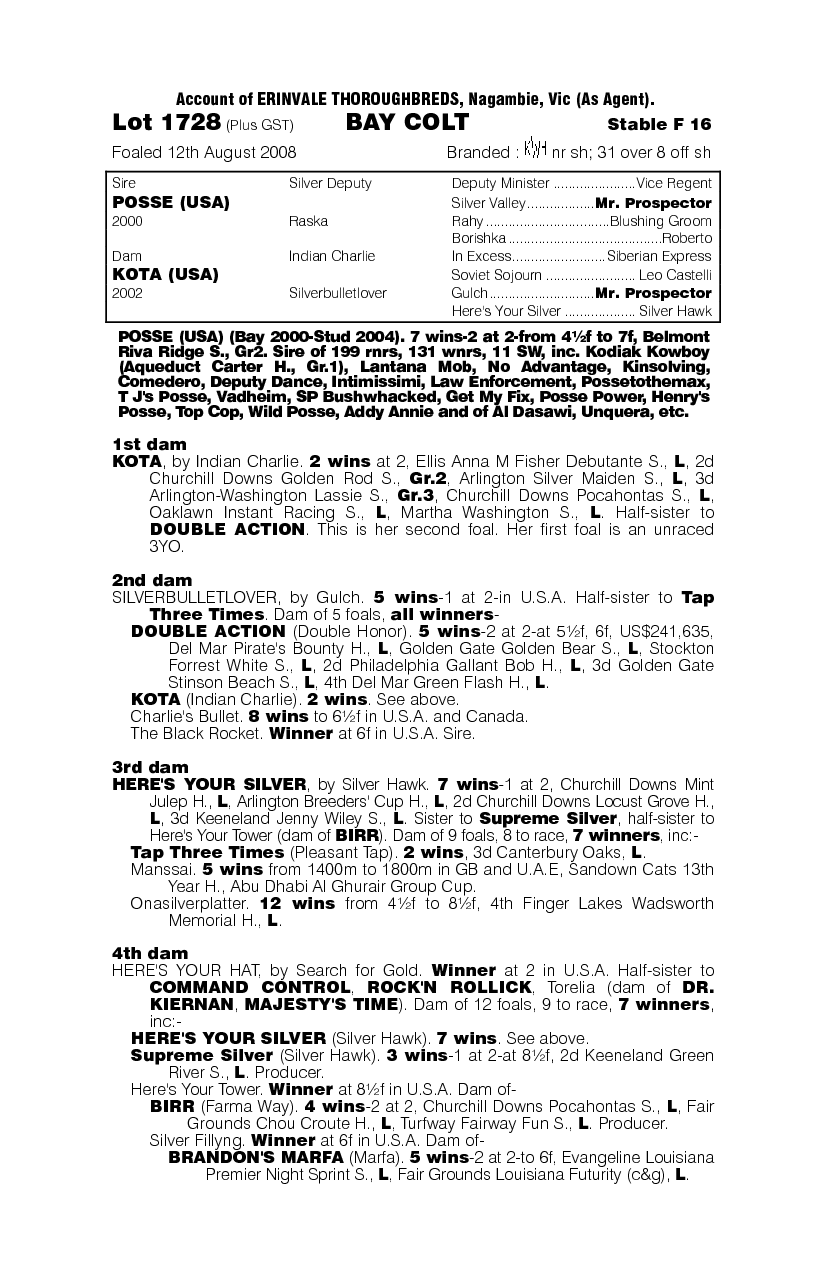 Posse Cat - pedigree