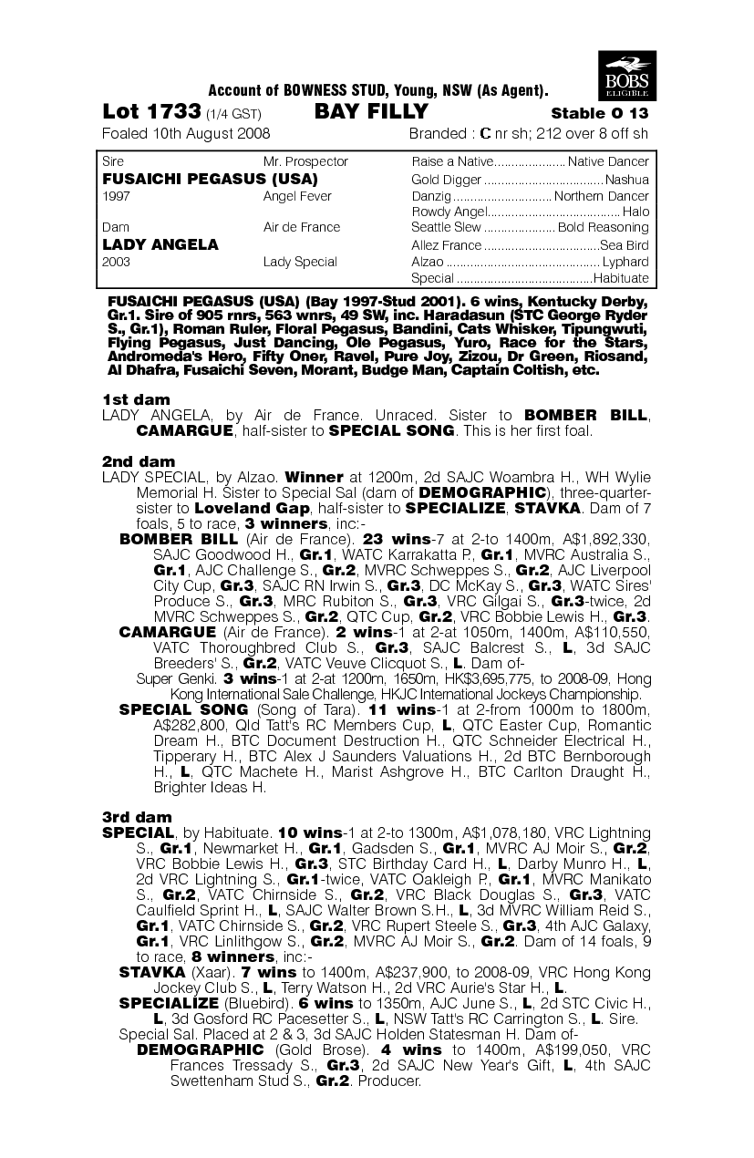 Love A Beer - pedigree