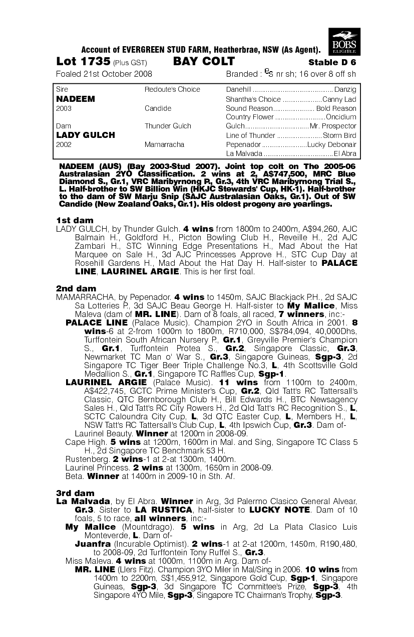 Oracle Master - pedigree