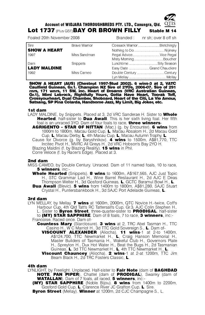 Show A Heart (AUS) / Lady Maldine (AUS) - pedigree