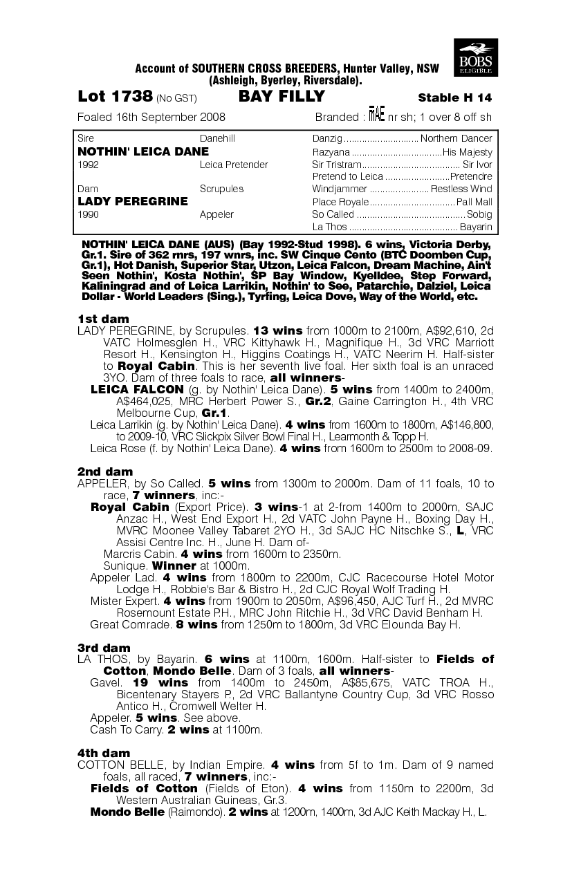 Leica Vessell - pedigree