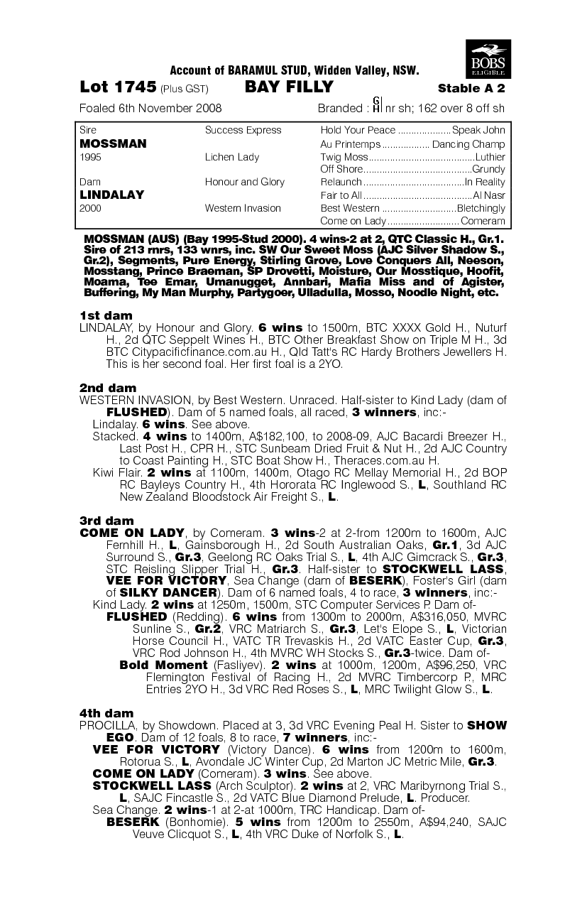 Startling (AUS) - pedigree