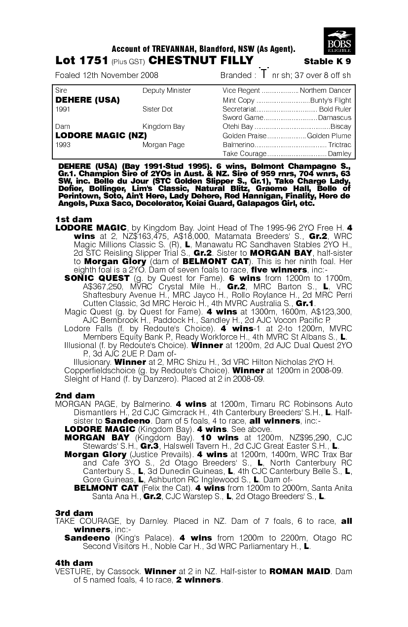 Dehere (USA) / Lodore Magic (NZ) - pedigree