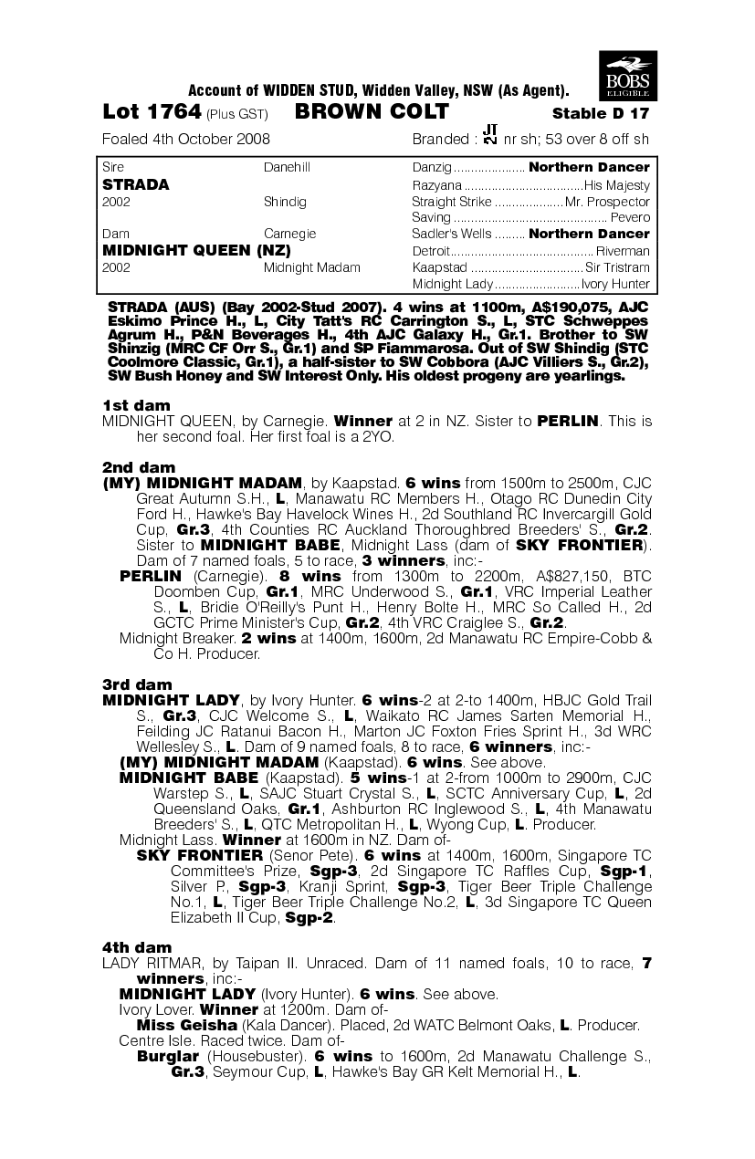 Mezzanotte - pedigree