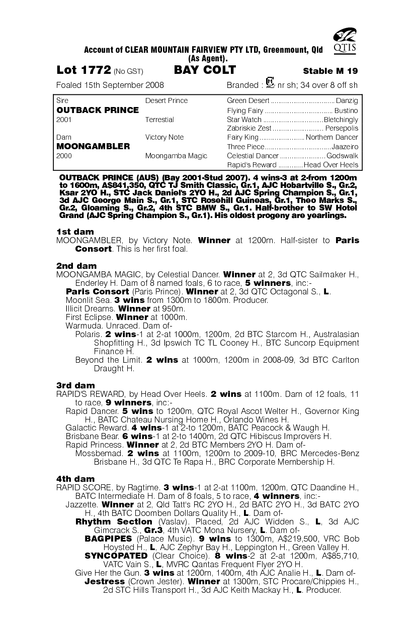 Pint Sized Prince - pedigree