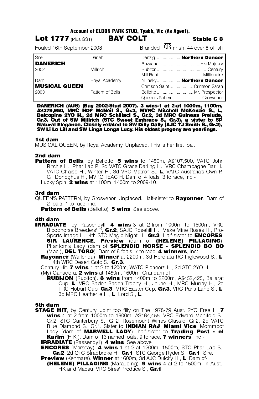 Mum's Boy - pedigree