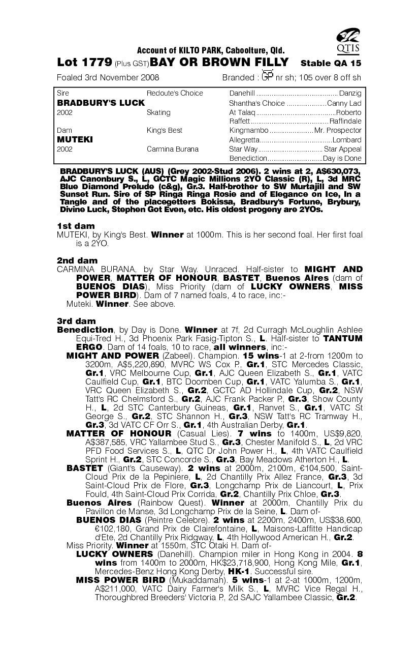 Secrets Of Success - pedigree