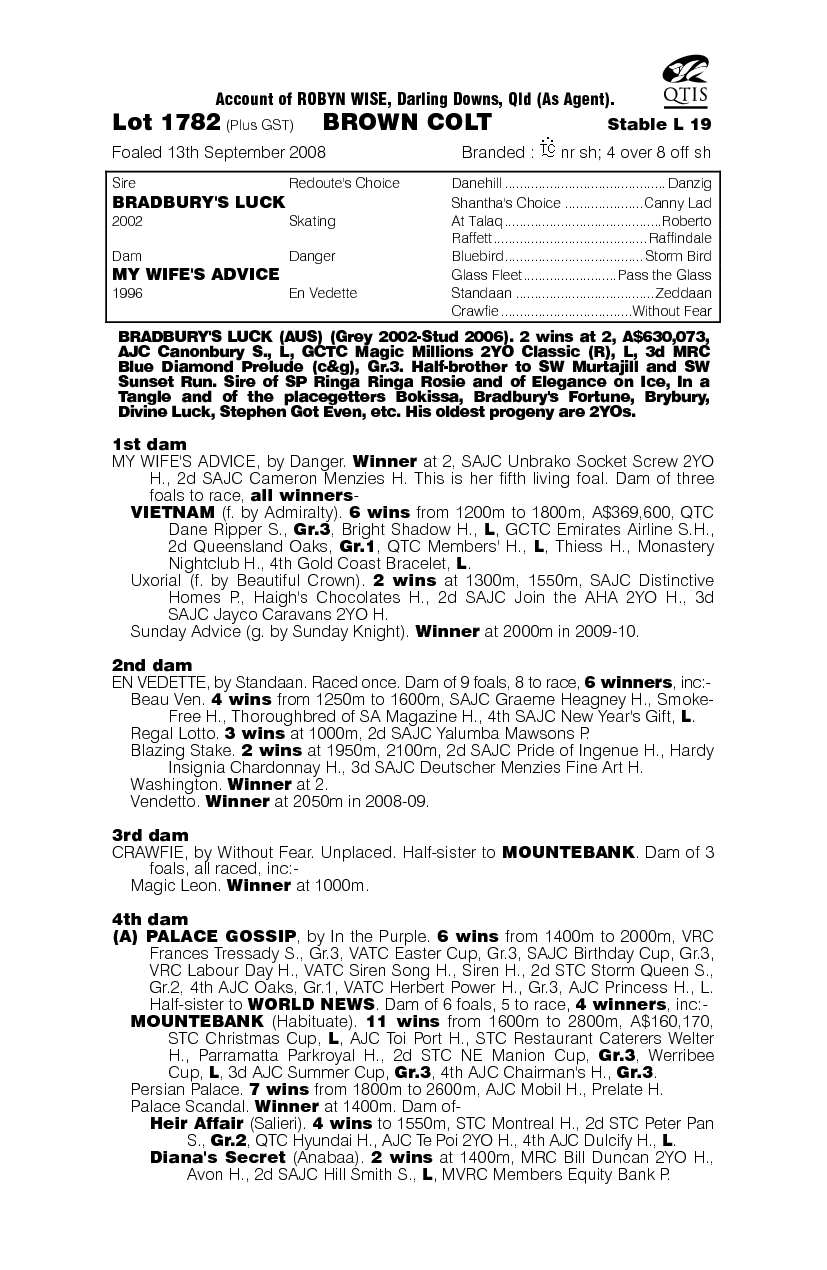 Lucky Sound - pedigree