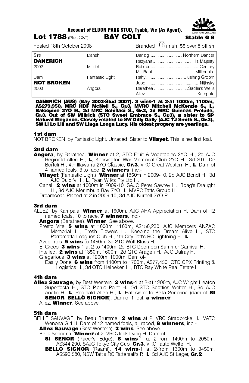 Danerich (AUS) / Not Broken (AUS) - pedigree