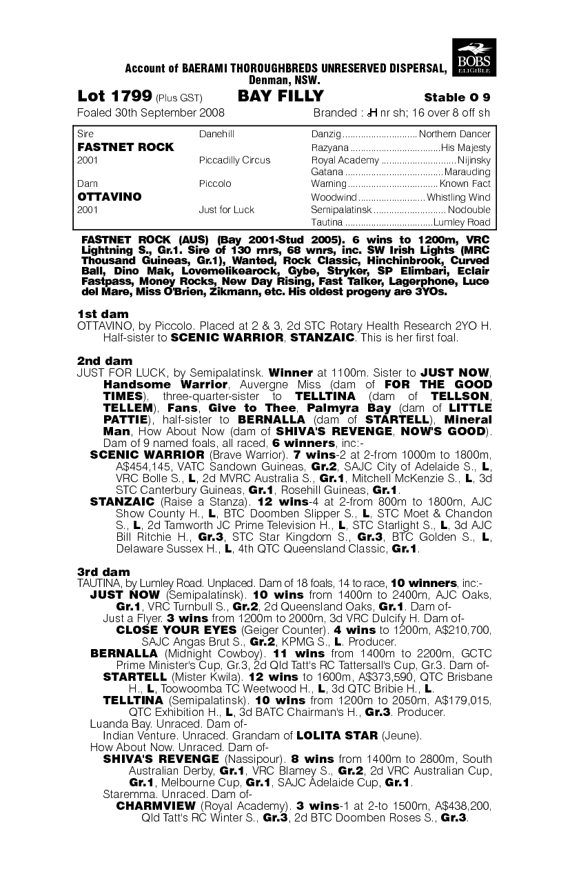 Bedrock Betty - pedigree