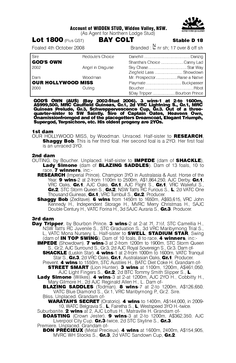 Happy Soldiers - pedigree