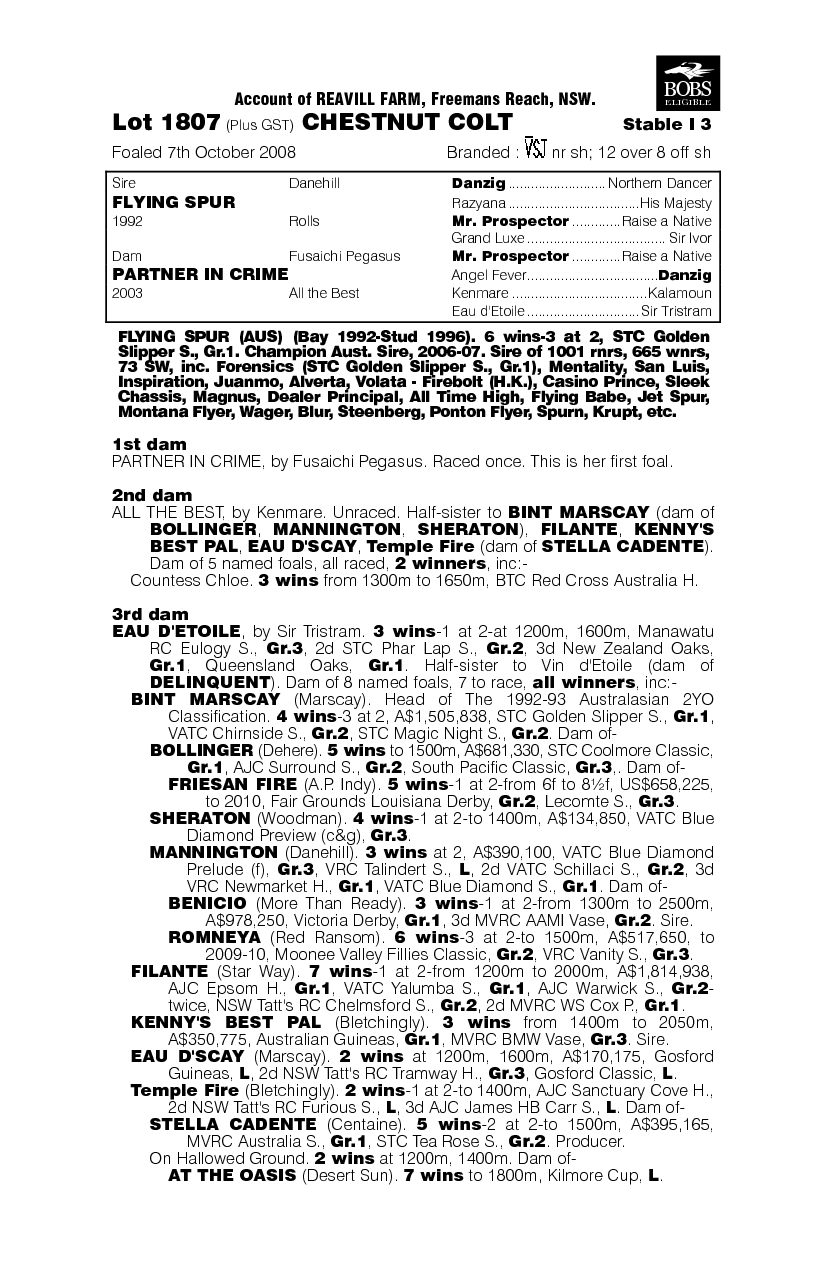 Justa Giveaway - pedigree