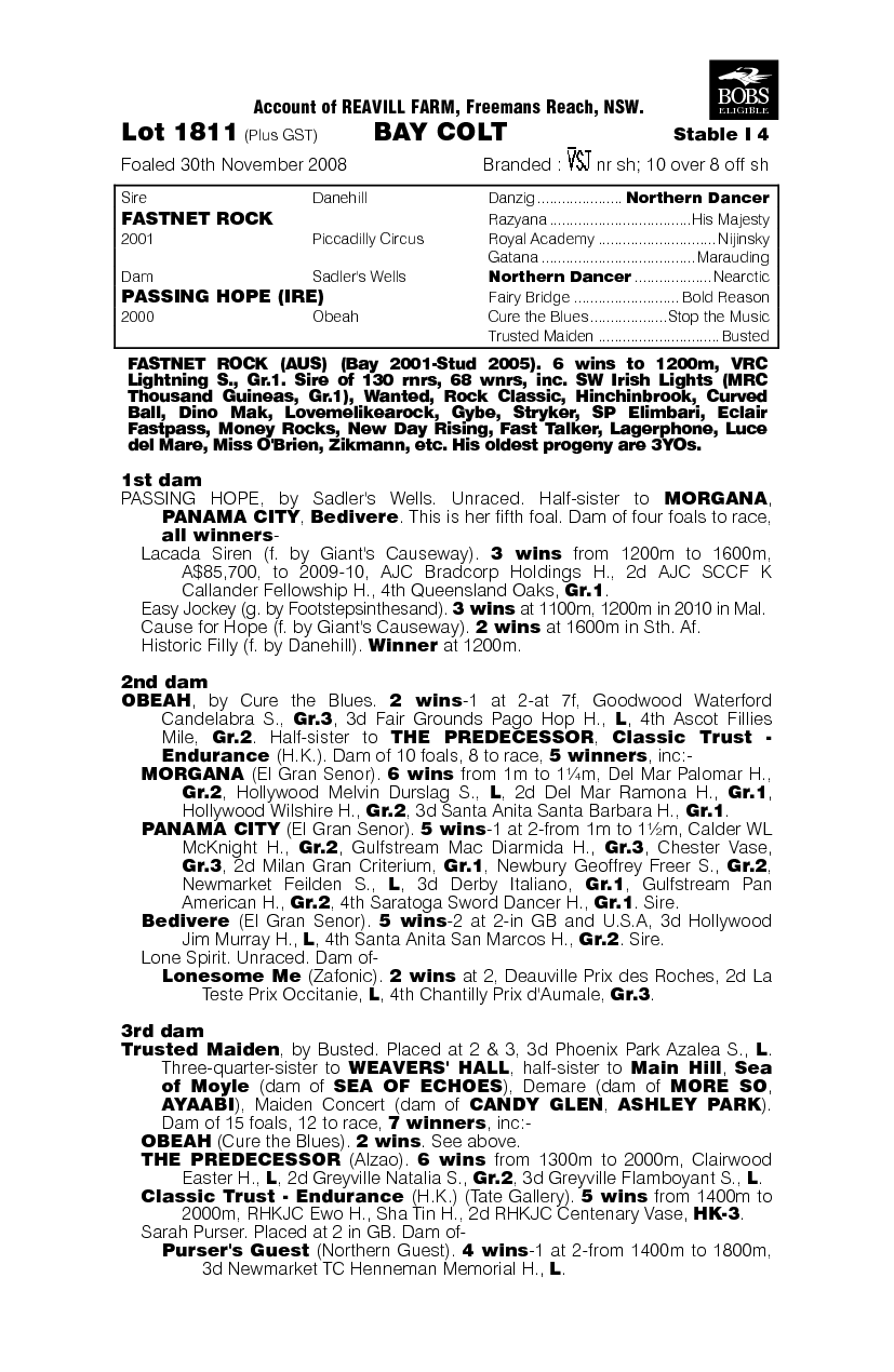 The Holy Winner - pedigree