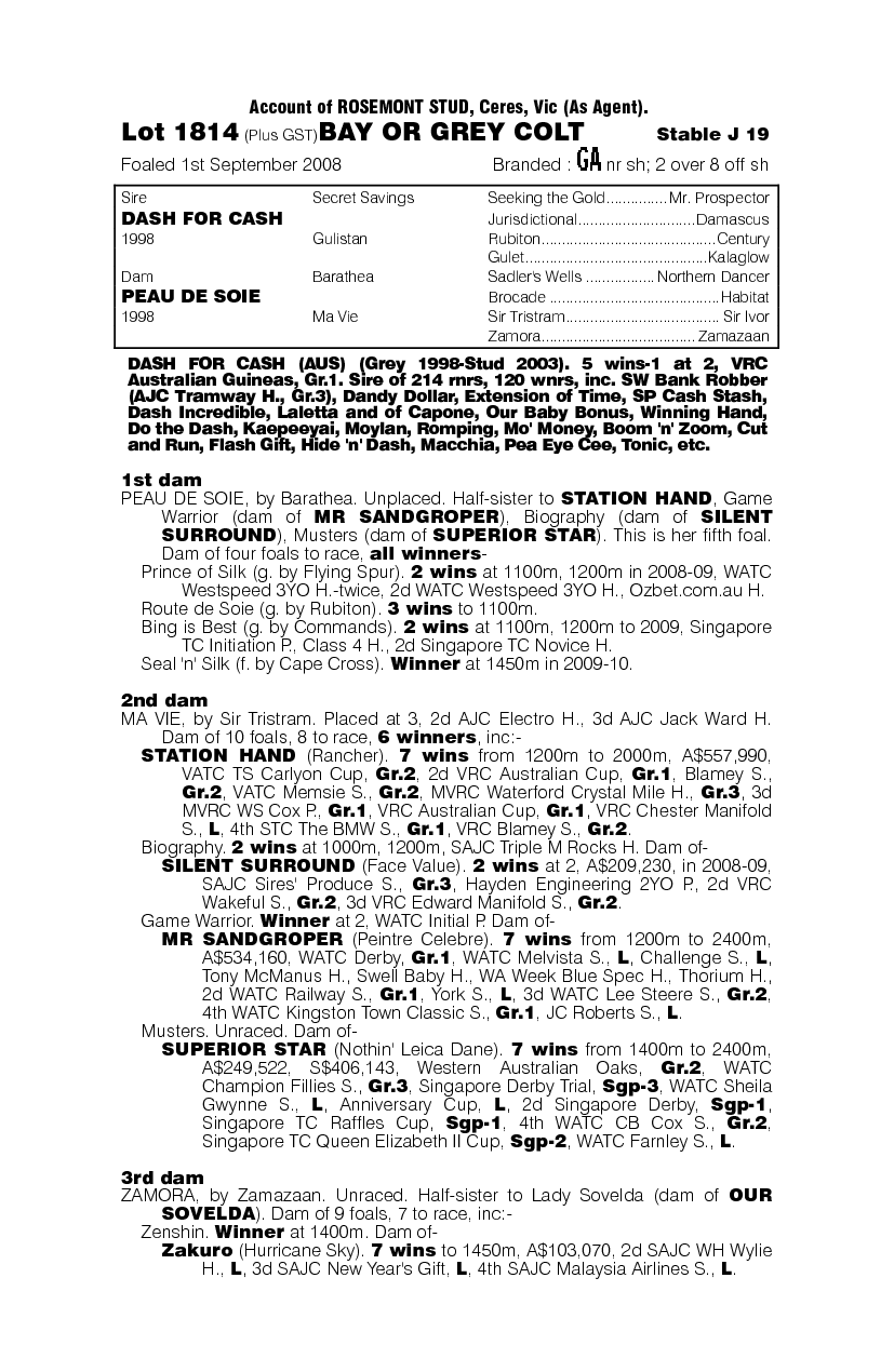Dash For Cash (AUS) / Peau De Soie (AUS) - pedigree