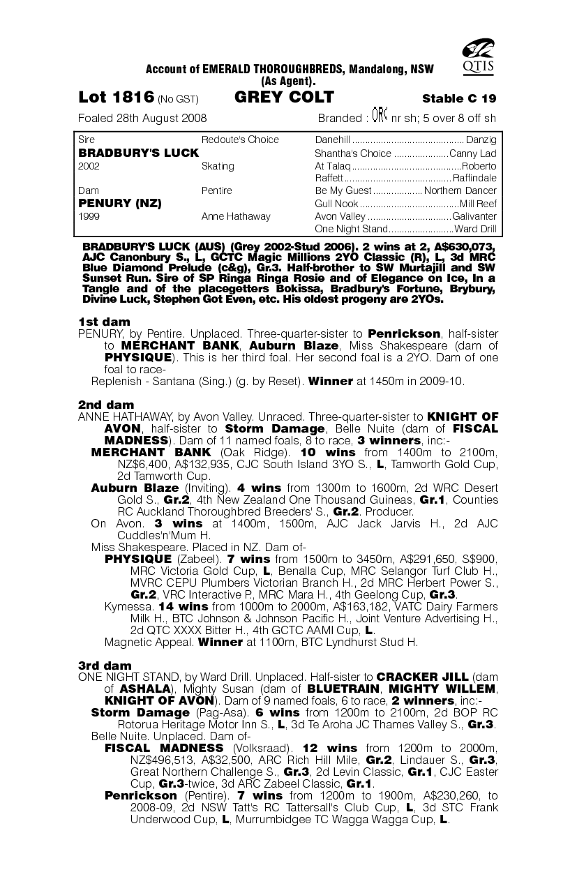 Broke But Lucky - pedigree