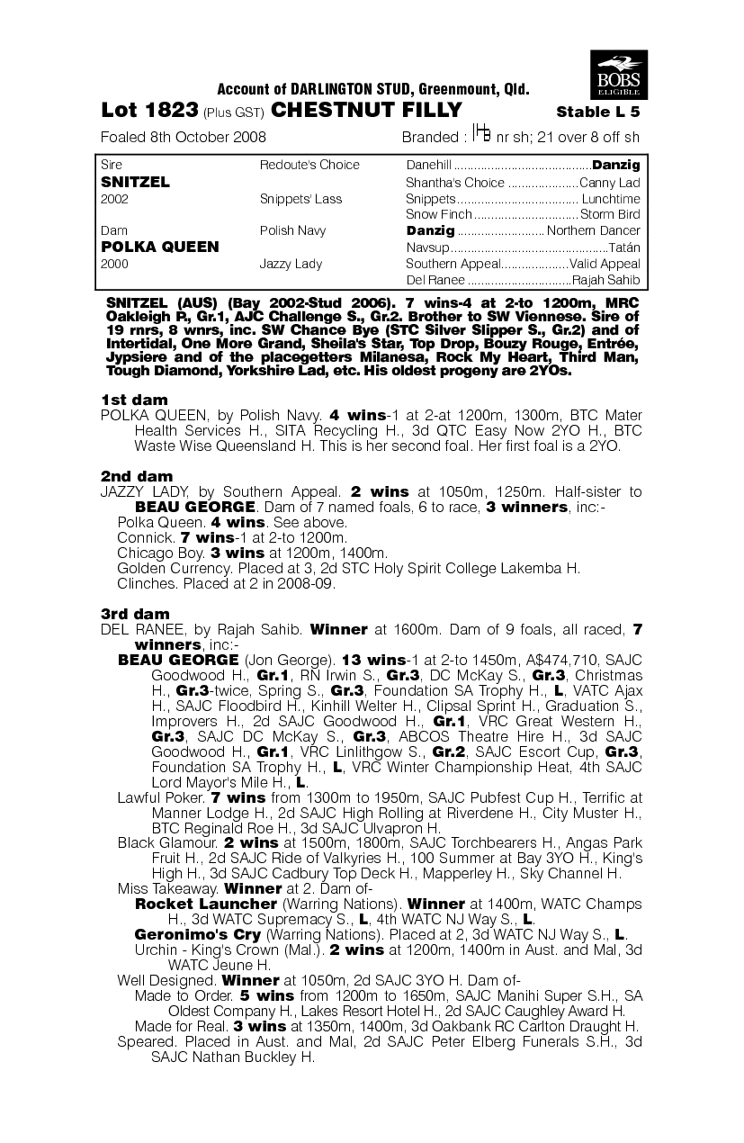 Polish Hussler - pedigree