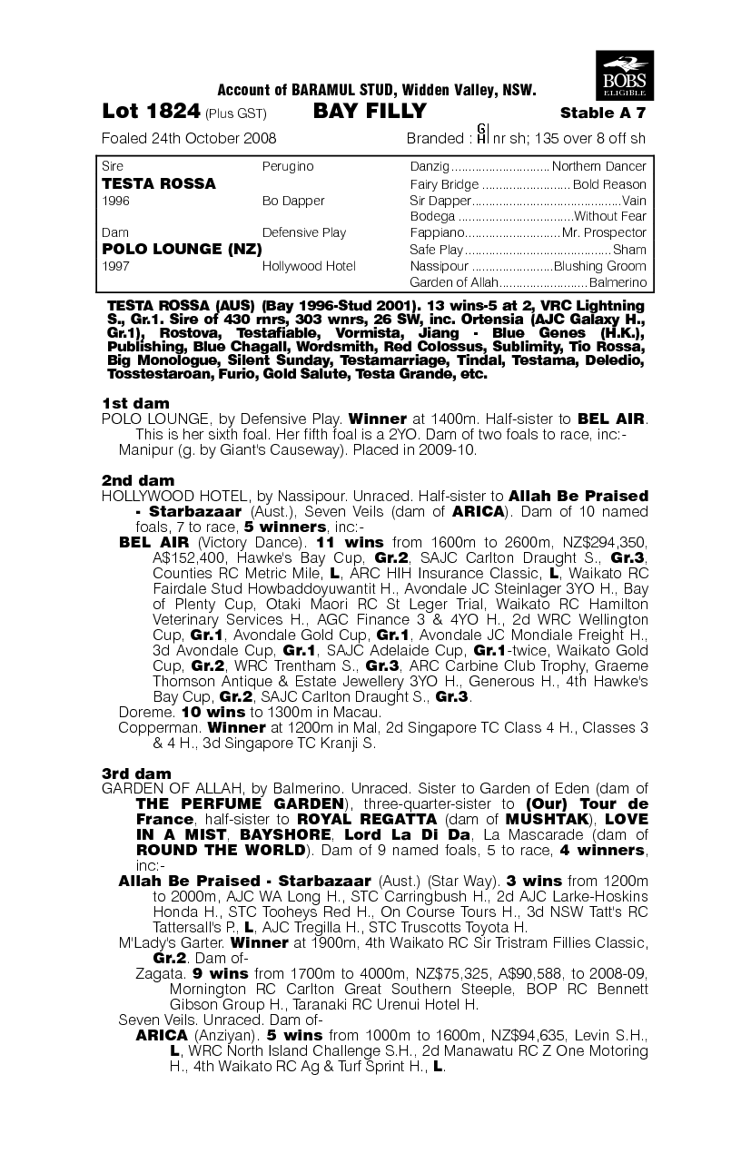 Testya Time - pedigree