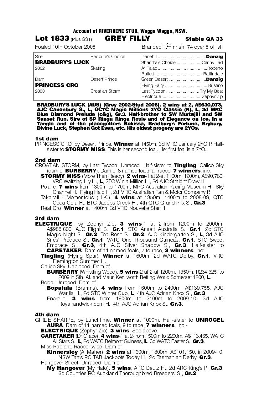 Dalmatian Queen - pedigree