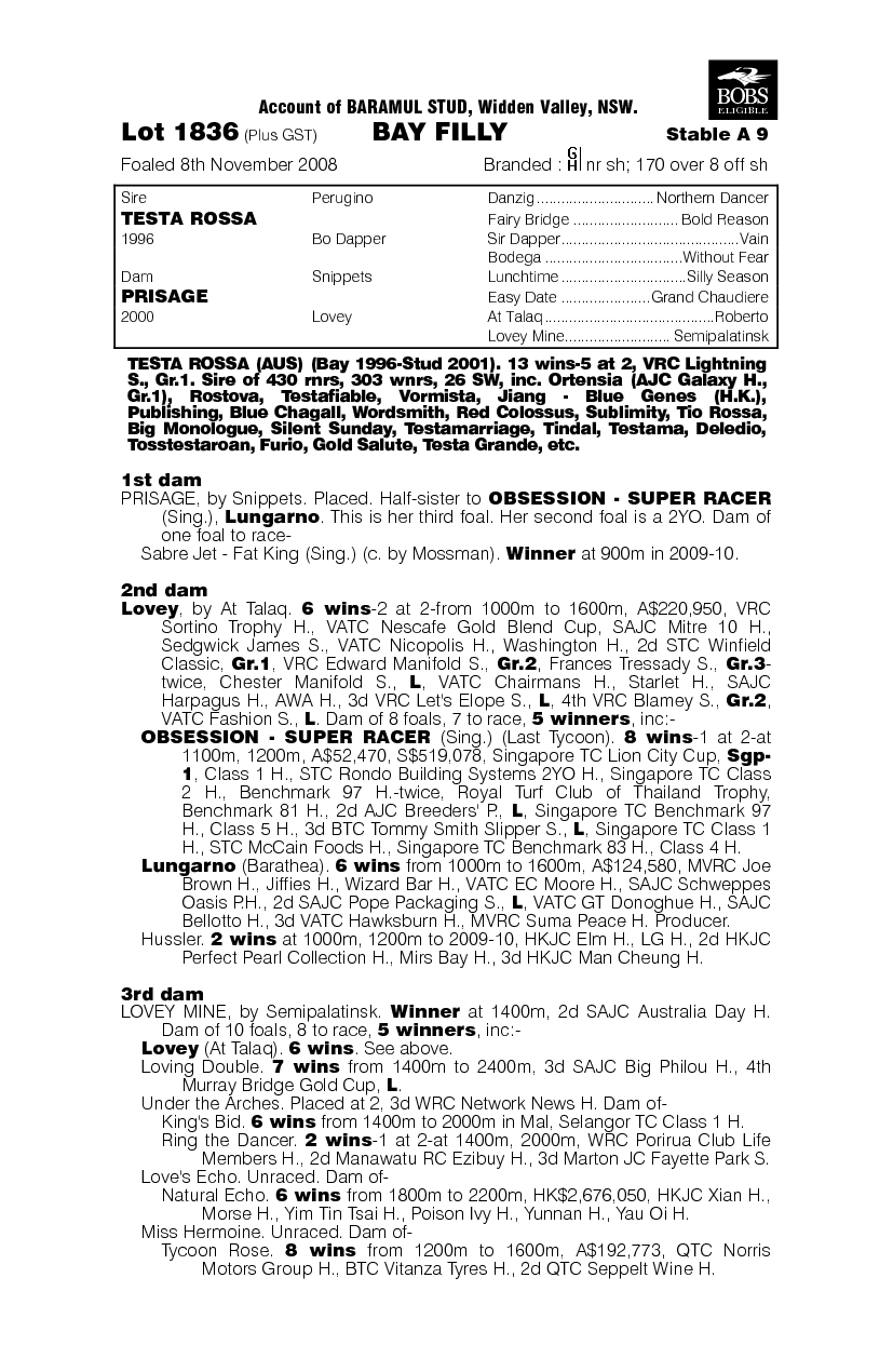 Star Of Tess - pedigree