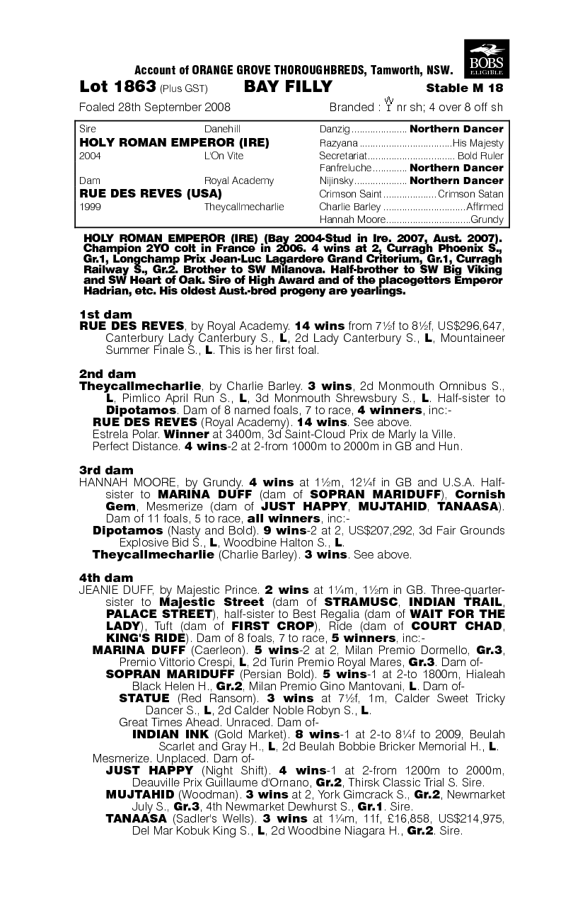 Princess Reves - pedigree