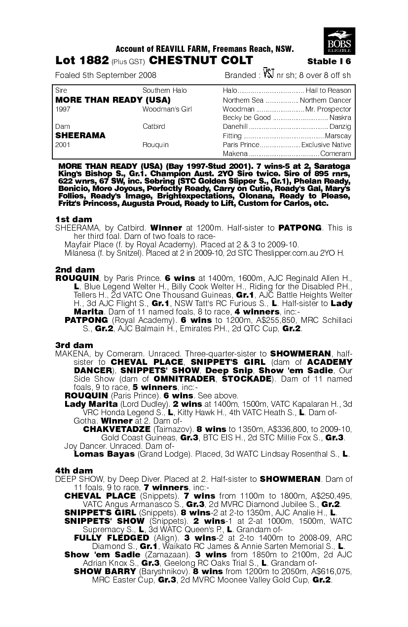 Oklahoma Thunder - pedigree