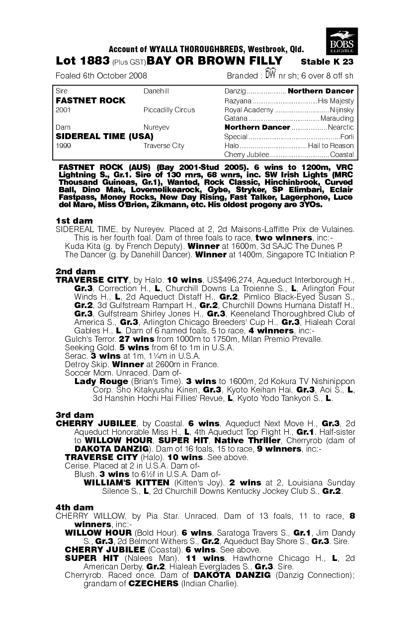 Rock The Stars - pedigree