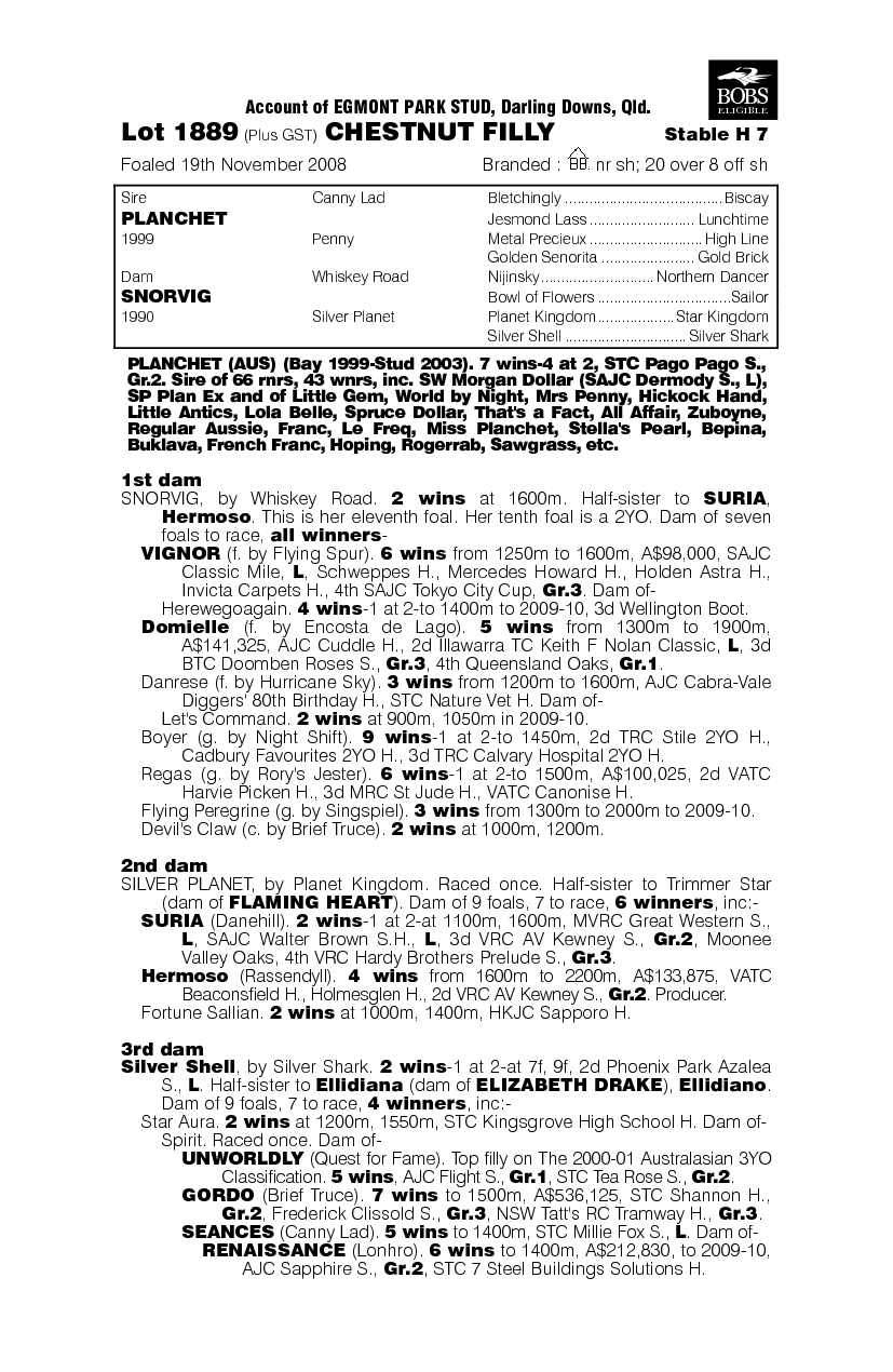 Miss Liberty - pedigree