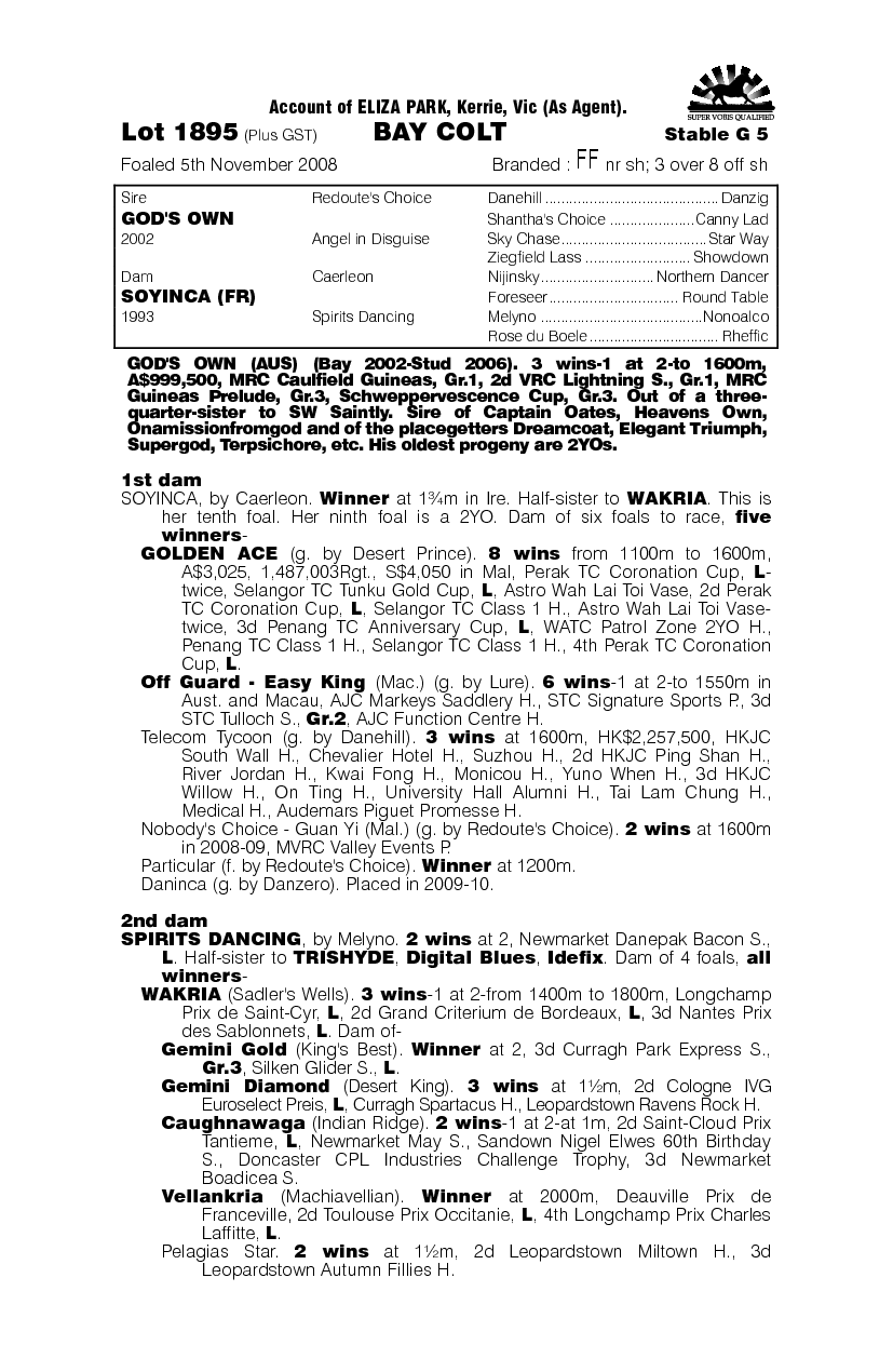 God's Own (AUS) / Soyinca (FR) - pedigree